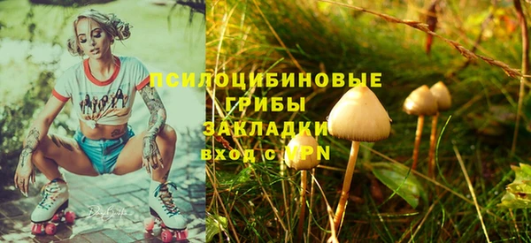 трава Новокубанск