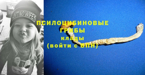 тгк Нея