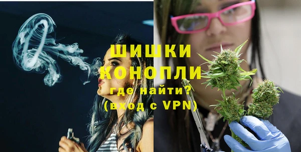 тгк Нея