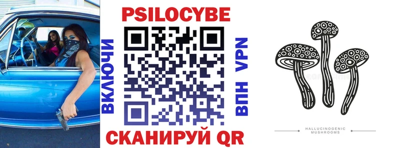 Псилоцибиновые грибы Cubensis Челябинск
