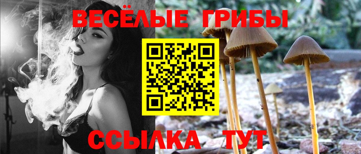 Галлюциногенные грибы мицелий  Вход с VPN  Челябинск 
